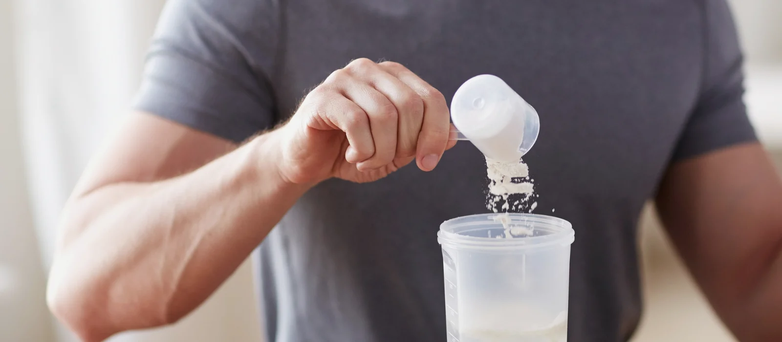 model sipa gainer protein u šejker