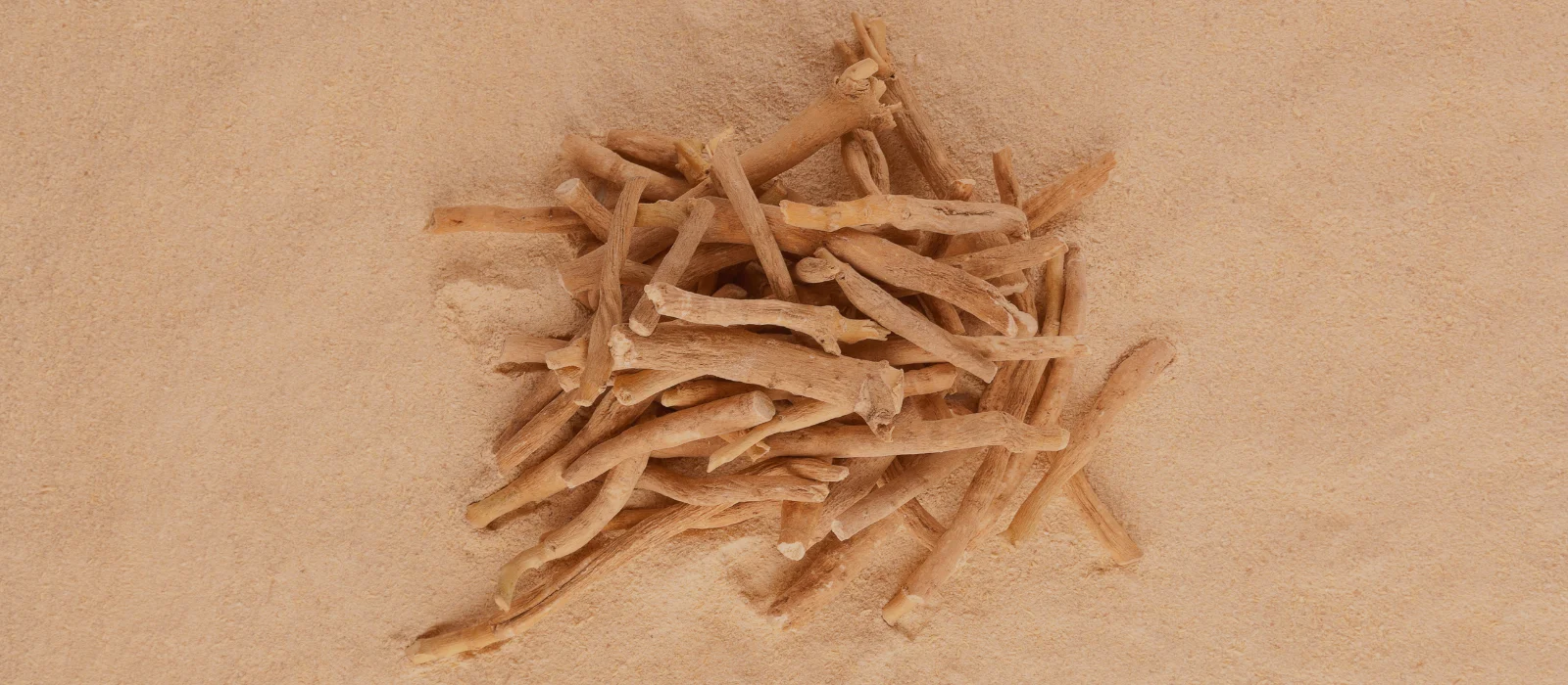 Ashwagandha adaptogena biljka